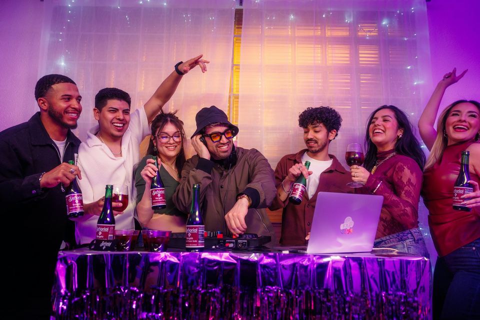 DJ in prijatelji na zabavi